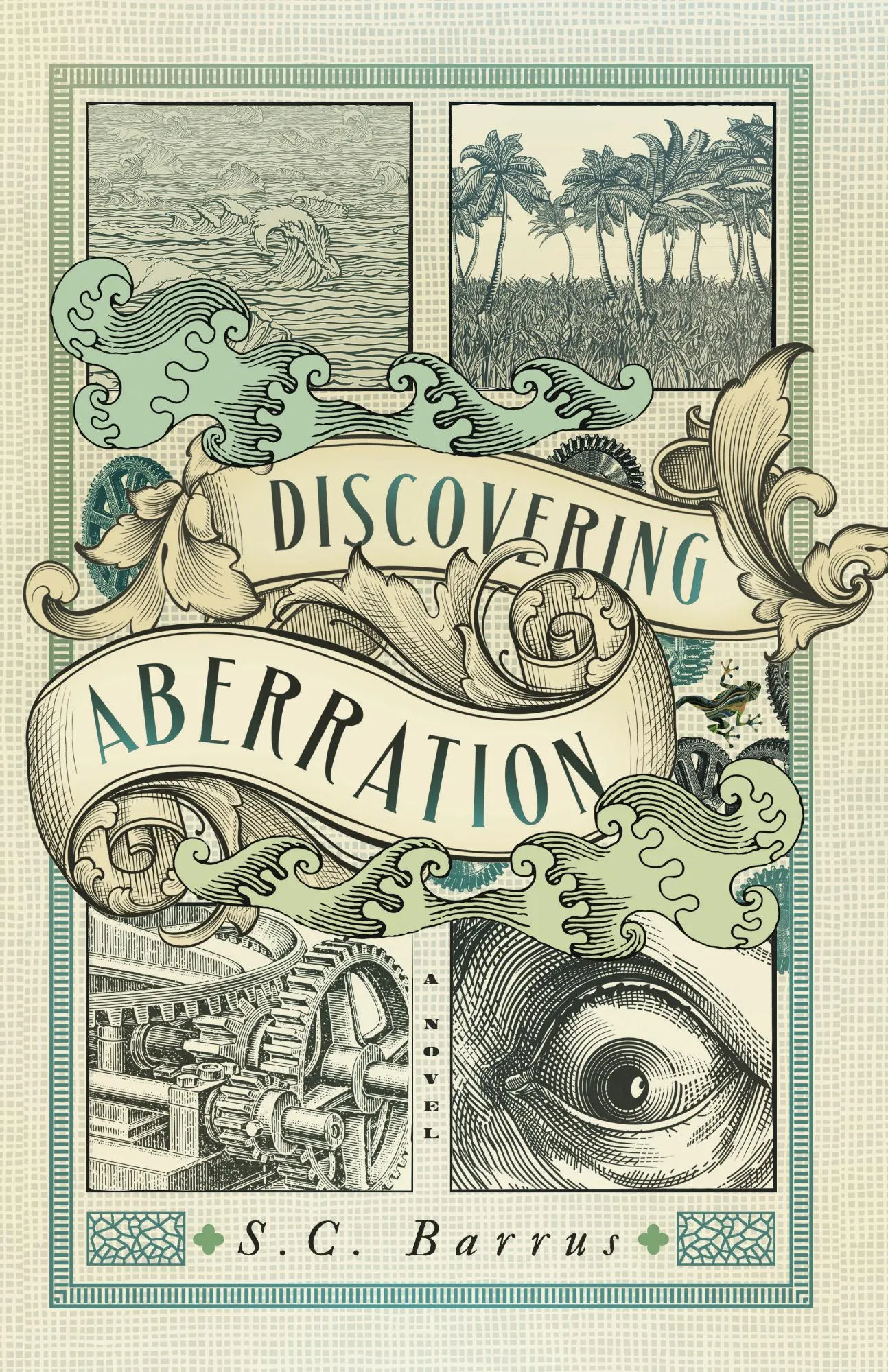 Cover: Discovering Aberration